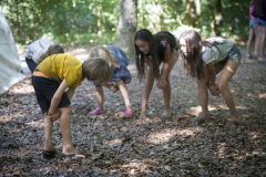 Buitenkunst2018_TPDB-0575