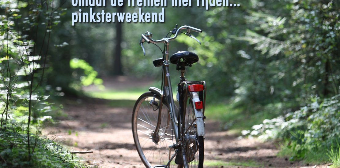 omdatdetreinennietrijdenPINK