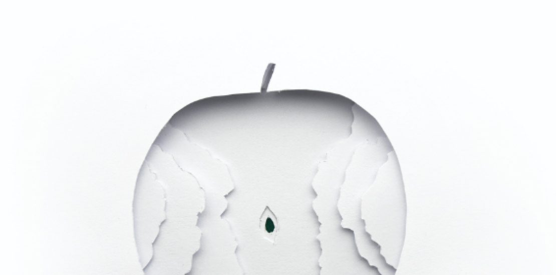 vierappels_of_de_essentie